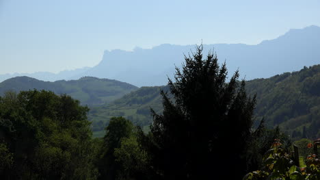 Árbol-De-Francia-Y-Cresta-Alpina-Cerca-De-Glenoble