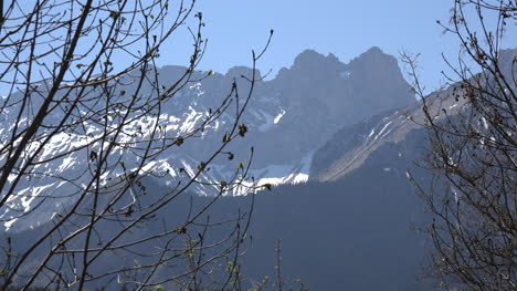 France-Tree-Branches-And-Alpine-Ridge-Near-Gap