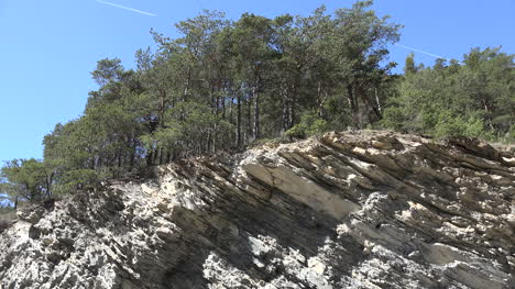 France-Trees-On-Tilted-Strata-In-The-Valley-Of-Ubaye