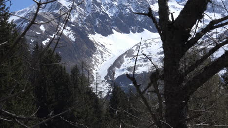 Vista-De-Francia-Del-Hocico-Del-Glaciar-Y-Los-árboles