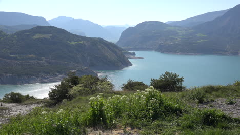 France-Wildflowers-And-Lac-Serre-Poncon