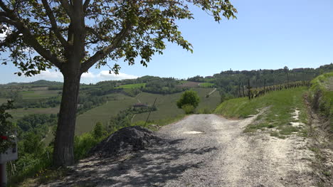Italia-Langhe-Vista-Con-árbol-Por-Camino-Rural