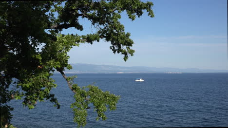 Croatia-Boat-In-Adriatic-Sea-Framed-By-Tree