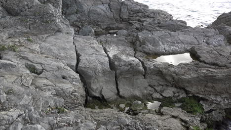 Croatia-Tide-Pool-In-Rocks