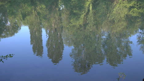 Italy-Reflection-Of-Trees-In-River-Zooms-In