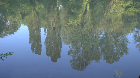 Italy-Reflection-Of-Trees-In-River