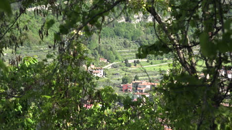 Vista-de-Italia-a-través-de-la-vegetación