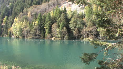 Switzerland-Lake-on-Rhine