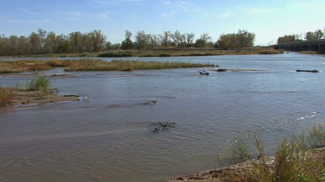 Nebraska-Platte-Szene