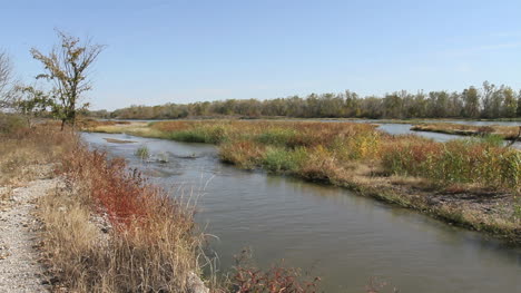 Nebraska-Platte-Fluss-Mit-Baum-Am-Ufer