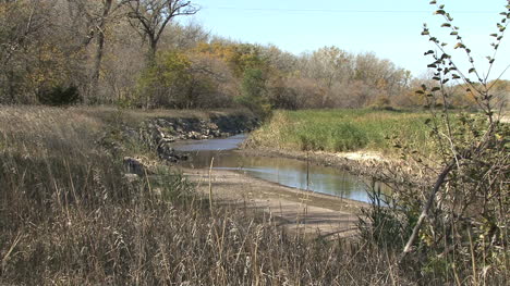 Escena-Del-Río-Nebraska-Platte-Con-árboles