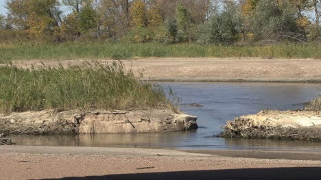 Nebraska-Platte-Flussszene-Detail