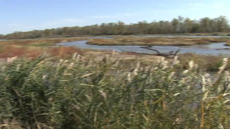 Nebraska-Pfannen-Platte-Szene-Schilf