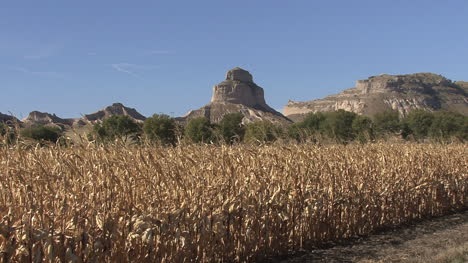 Nebraska-Maisfeld-Bei-Scotts-Bluff