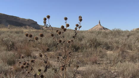 Nebraska-Chimney-Rock-and-weed