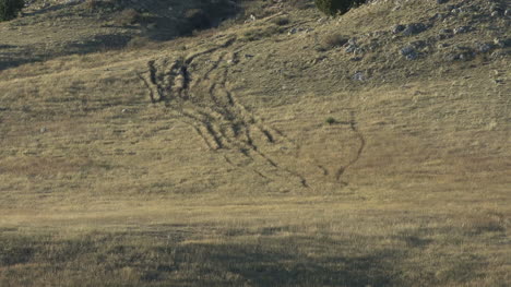 Nebraska-Ash-Hollow-Wagon-Surcos-Acercar