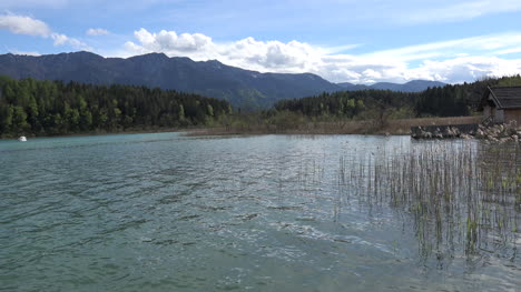 Austria-Faaker-See-reeds-zoom-in