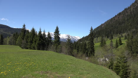 Österreich-Blick-Auf-See-Mit-Wiese-Und-Berg