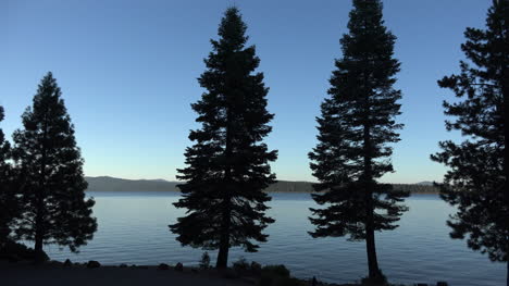 California-Almanor-Lake-framed-by-tall-trees