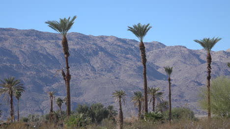 California-Borrego-Springs-mountains-with-palms