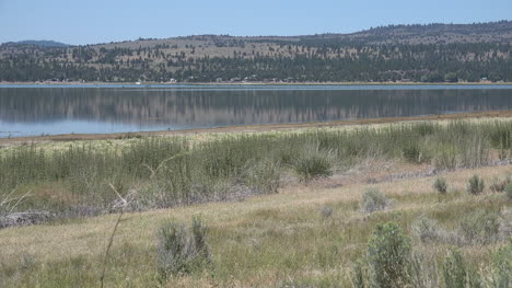 California-Eagle-Lake-Con-Reflejos