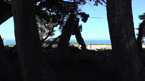 California-Santa-Cruz-coast-with-traffic-and-trees