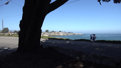 California-Santa-Cruz-tree-frames-lighthouse-point