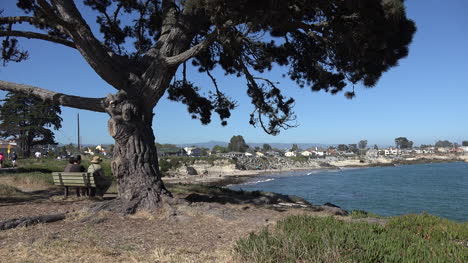 Kalifornien-Santa-Cruz-Blick-Umrahmt-Mit-Baum