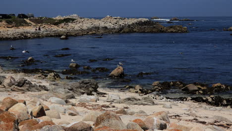 California-coastal-view-zoom-out