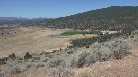 Kalifornien-Trockene-Szene-Mit-Beifuß-Auf-Hügel-Und-Pflanzen-Im-Tal