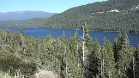 California-forest-and-Donner-Lake