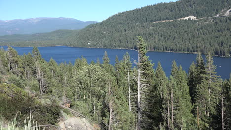 Kalifornischer-Wald-Und-Donnersee