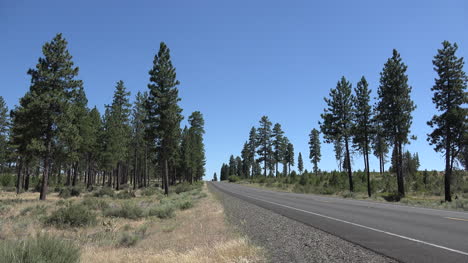 California-highway-through-pines-with-cars