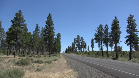 California-highway-through-pines-with-traffic-time-lapse