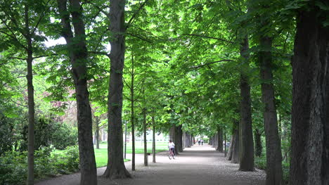 Germany-Merseburg-bike-path-view-zoom-out