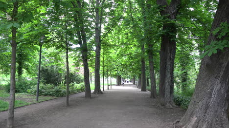 Deutschland-Merseburg-Fahrräder-Auf-Radweg-Zoom-In