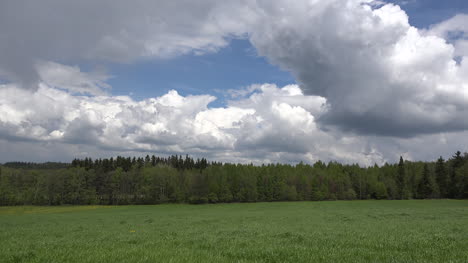 Germany-clouds-over-forest-zooms-in