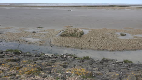 Deutschland-Ebbe-Am-Wattenmeer