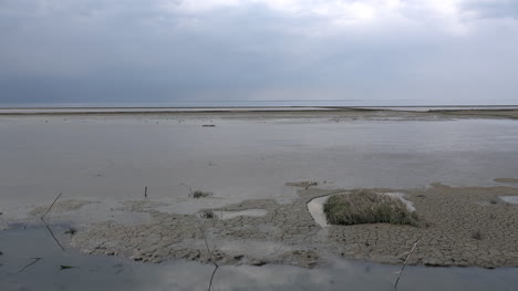 Germany-mud-and-grass-in-the-Wadden-Sea