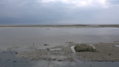 Deutschland-Schlamm-Und-Gras-Im-Wattenmeer