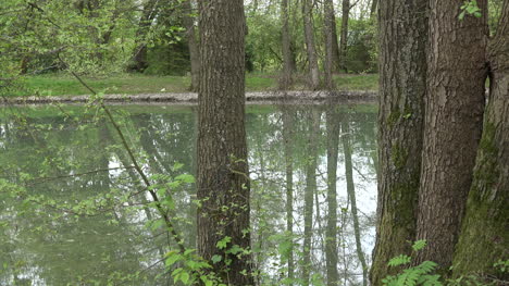 Deutschland-Bäume-Am-Teich-Mit-Reflexionen-Verkleinert-Sich
