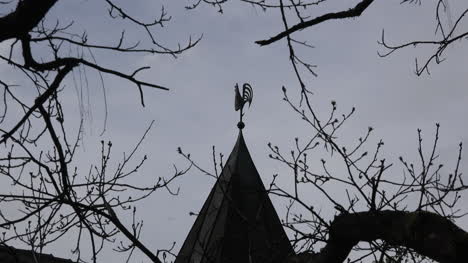 Germany-weather-vane-and-grey-sky