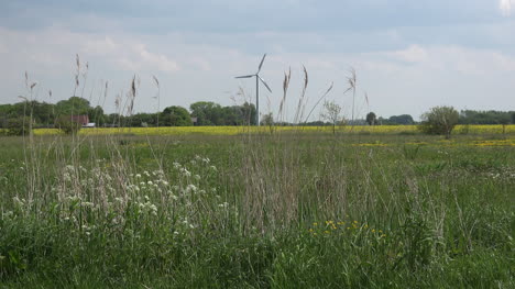 Deutschland-Windkraftanlage-Und-Gras