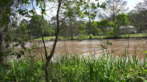 Louisiana-Bayou-Teche-Aussicht