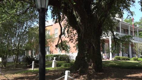 Louisiana-St-Martinville-Historic-Inn-And-Oak