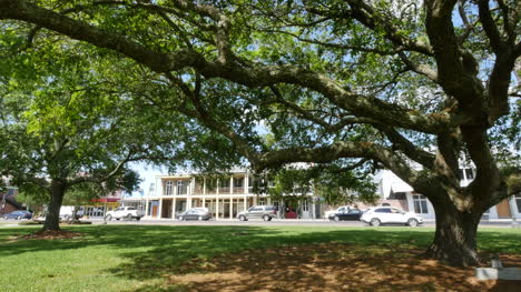 Luisiana-St-Martinville-Oak-And-Town