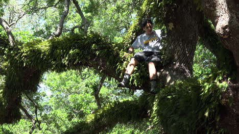 Louisiana-boy-in-live-oak-tree