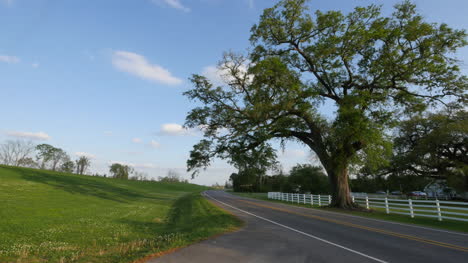 Louisiana-Coche-Y-Atv-Por-Levee