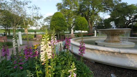 Louisiana-Brunnenblick-Und-Blumen