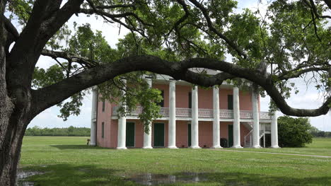 Louisiana-Live-Oak--Und-Chalmette-Plantagenhaus